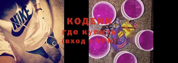 сатива Инта