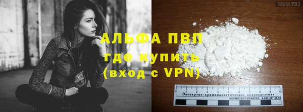 шишки Иннополис