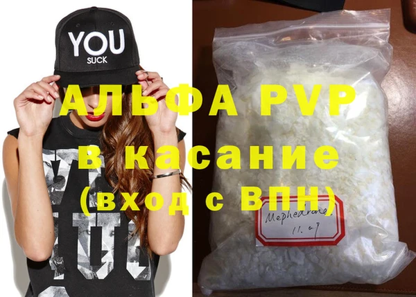 сатива Инта