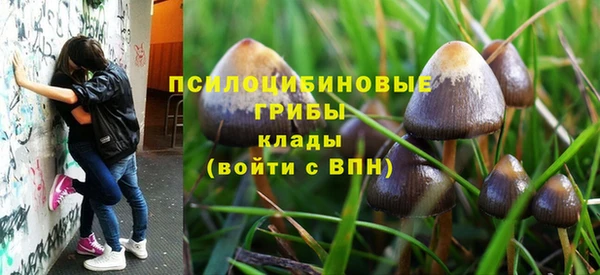 apvp Каменногорск