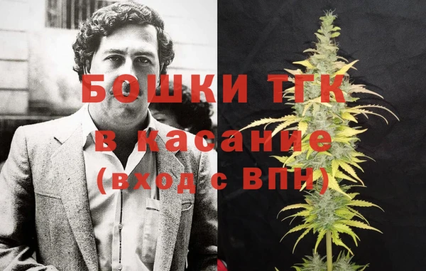apvp Каменногорск