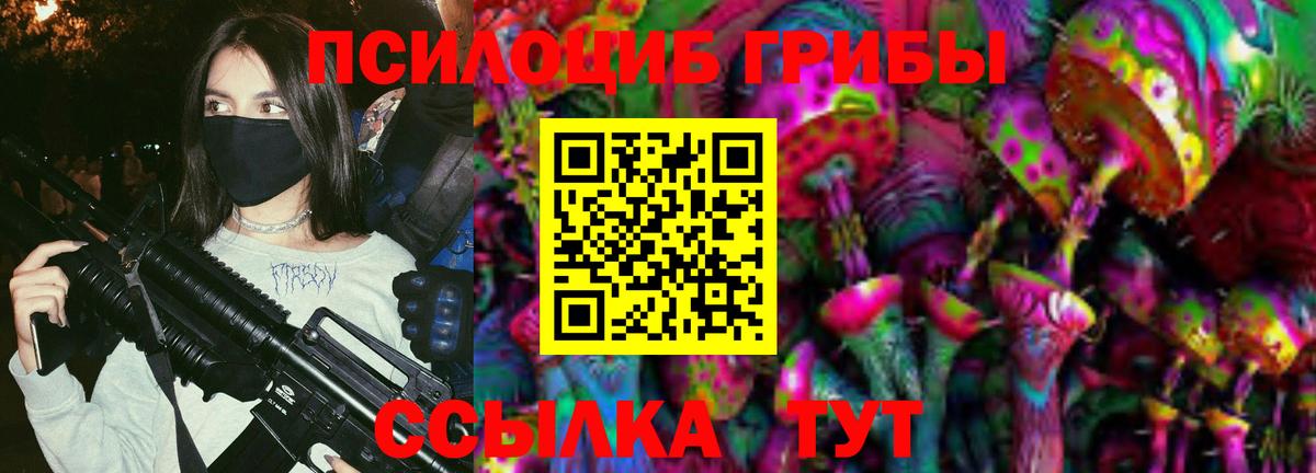 Псилоцибиновые грибы прущие грибы Татарск