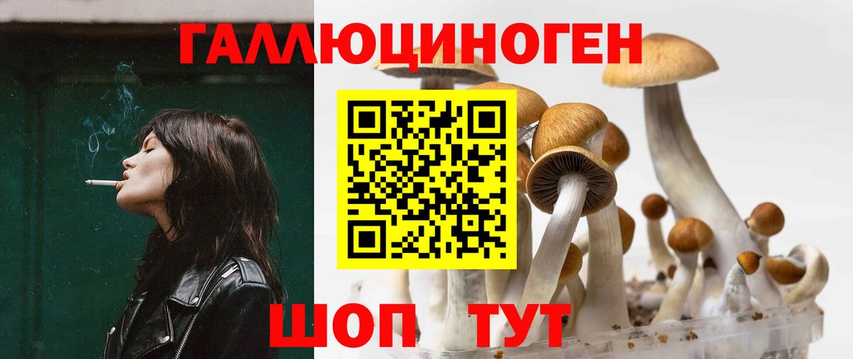 Галлюциногенные грибы MAGIC MUSHROOMS  Вход с VPN  Татарск 
