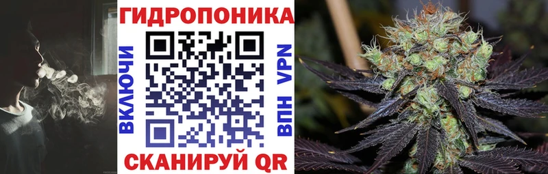 Бошки Шишки план как найти закладки Татарск
